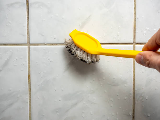 Trusted Hazard, KY Mold Removal Experts
