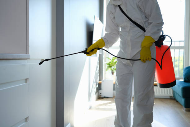 Best Crawl Space Mold Removal  in Hazard, KY