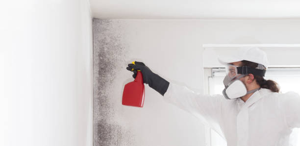 Best Emergency Mold Removal  in Hazard, KY